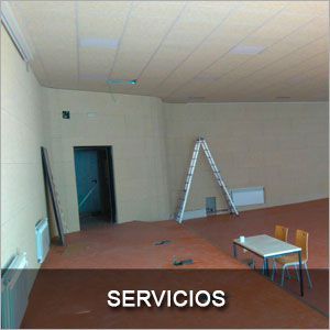 Servicios Teor techos